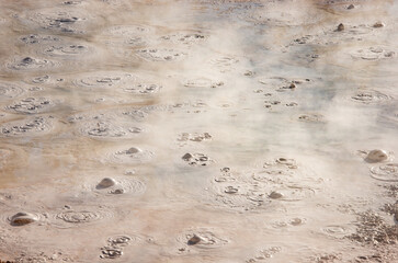 Fountain Paint Pot at Lower Geyser Basin, Mudpots, at Yellowstone National Park, Wyoming
