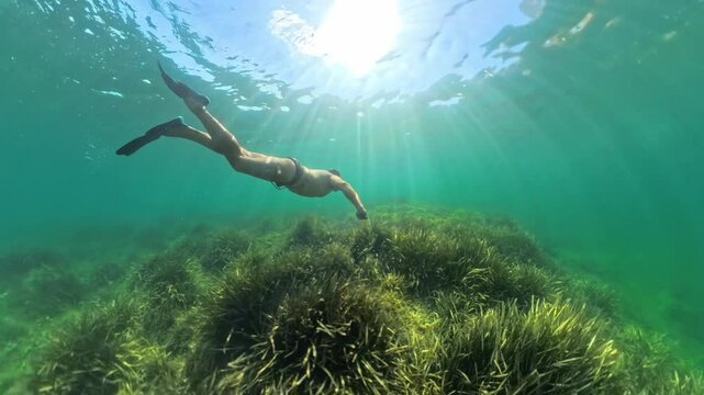 freediving on a poseidonia hill in the mediterranean