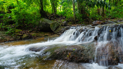 Obraz premium Waterfall in Abundant Clear Stream in the forest, Small waterfall river with clear water in the morning light nature background