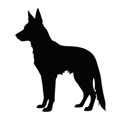 Belgian Shepherd Silhouette isolated on white background. Vector illustration