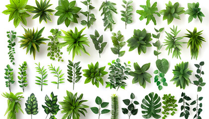 Naklejka premium Artificial plants decorative panel isolated on white