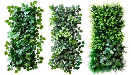 Obraz premium Artificial plants decorative panel isolated on white