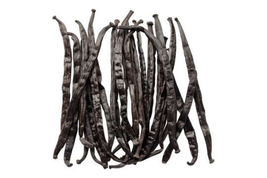 Vanilla beans isolated on transparent background
