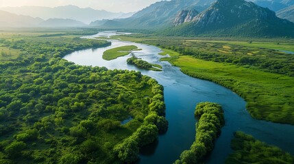 changing Landscapes, Disappearing Habitats