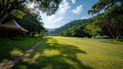 Obraz premium Scenic Green Park with Sunlight Filtering Through Trees on a Bright Summer Day