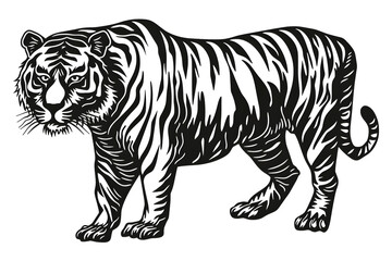 Naklejka premium Hand drawn tiger silhouette in a minimal style. Black and white graphic illustration isolated on white background