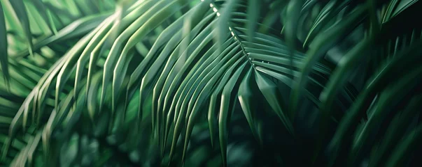 Poster Smooth palm leaf with detailed lines, 4K hyperrealistic photo