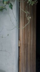 An open door to garden vintage concrete walls with vines that grow, for background purpose