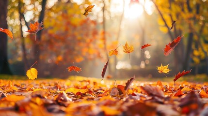 Autumn Background with Falling Leaves