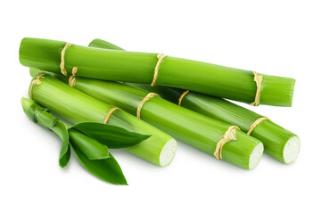 Fototapeta premium Green bamboo with leaves isolated on white background with full depth of field