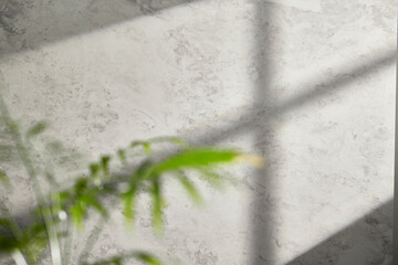 Sunshine, tree shadows, various texture backgrounds.