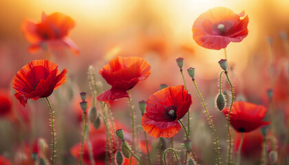 Fototapeta premium Close up of red poppy flowers generated.AI