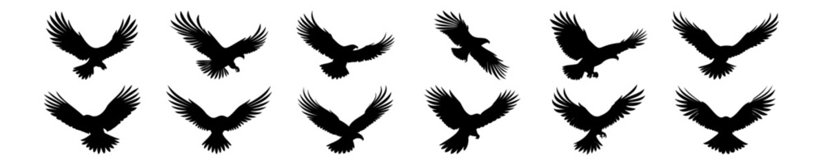 Eagle silhouettes set, pack of vector silhouette design, isolated background