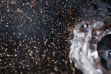 Macro shot of bronze and gold particles in water