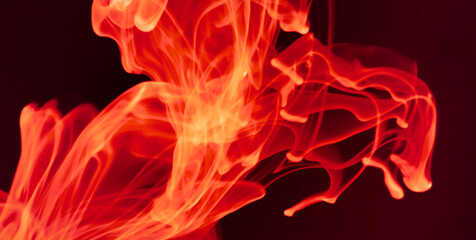 Fototapeta premium Psychedelic Patterns and Get Lost in an Abstract Masterpiece of Colors and Shapes 