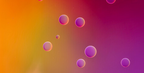 Psychedelic Patterns and Get Lost in an Abstract Masterpiece of Colors and Shapes
