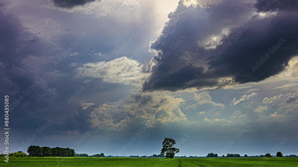 Poster unique time lapse of passing dark clouds on the sky above a green field with a few trees, copy space