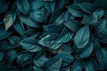 Fototapeta premium Abstract green texture of Spathiphyllum cannifolium leaves, nature background, tropical foliage