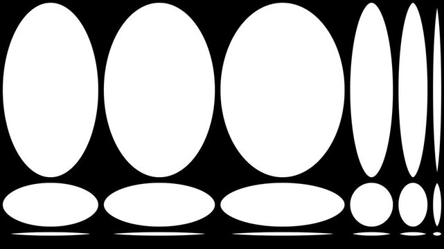 A black and white pattern featuring various ellipses and ovals arranged in a structured layout. Monochromatic creates a striking and modern visual, ideal for graphic, contemporary art. Seamless loop