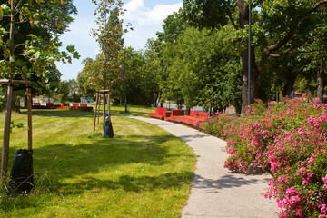 Kwiecisty park z ławkami w Toruniu, Polska.  Park in Toruń, Poland © 123108 Aneta