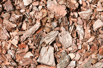 background tree bark mulch