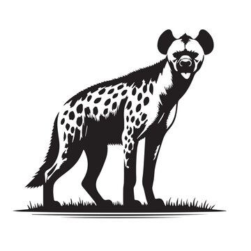 Hyene  animal - silhouette of Hyene - Vector of Hyene 