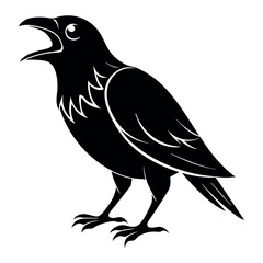 crow bird screams vector illustration