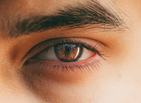 Brown man eye macro shot. Macro shot of a man's eyes.close up view of adult asian man eye with eyelashes and eyebrow looking in front confidently.