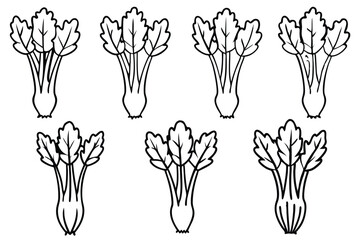 Rhubarb Root line art stylized botanical design