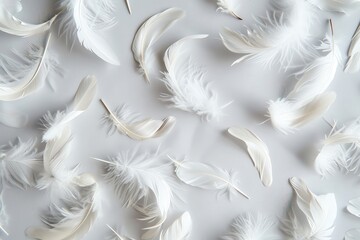 Fototapeta premium Ethereal white feathers scattered on a light gray background, soft and dreamy