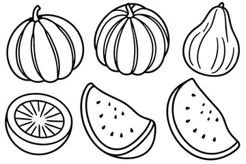 Squash Slice Art Line Nature's Bounty Sketching