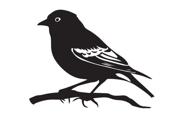 bird on a branch with berries