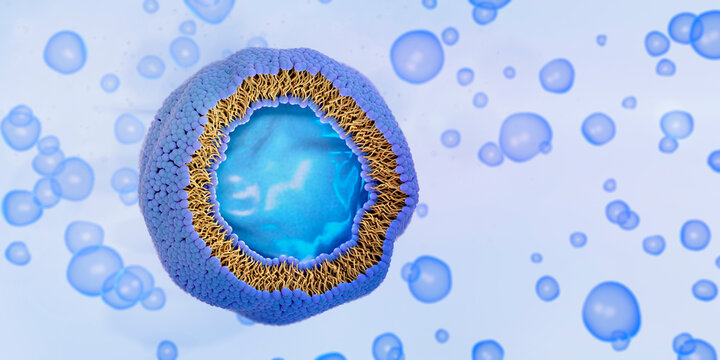 Liposome cross-section, illustration