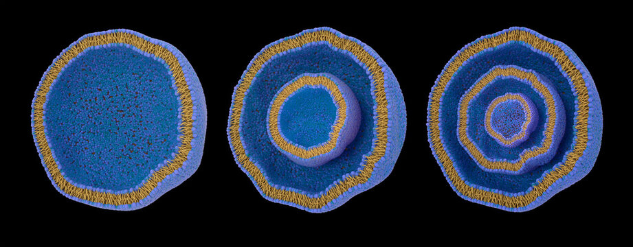 Liposome types, illustration