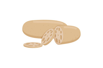 Flat vector Lotus Root JPG
