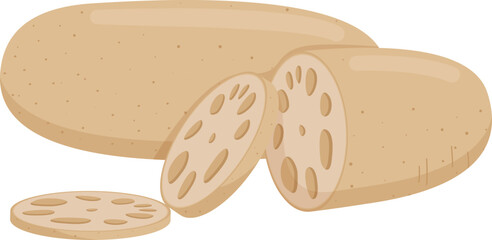 Flat vector Lotus Root EPS