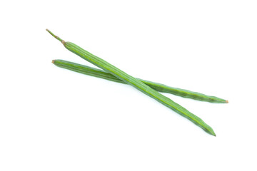 Fototapeta premium Moringa pods (Moringa oleifera Lam) isolated on white background, Organic vegetable, Herbal plant, Food ingredient