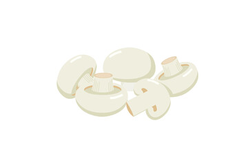 Flat vector White Button Mushroom JPG