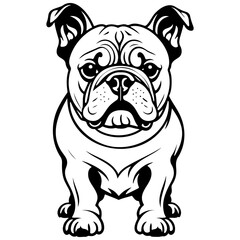 Obraz premium bulldog drawing, line head, line art black realistic sketches painting