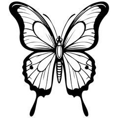 butterfly sketches hand drawn line illustration, transparent background