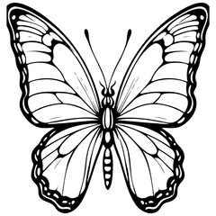 butterfly monochrome hand drawn line illustration, transparent background