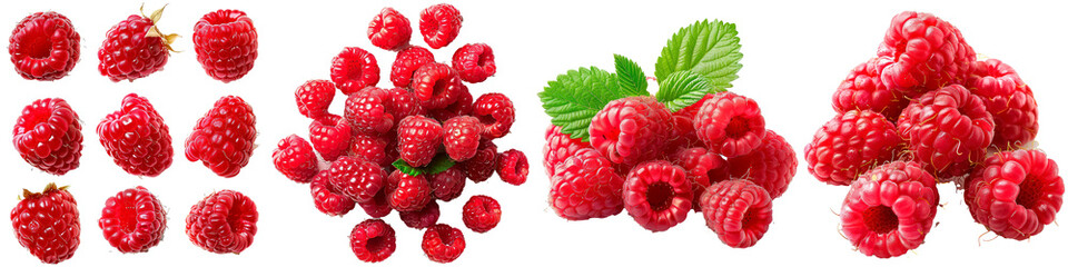 Four different types of red raspberries are shown in a row