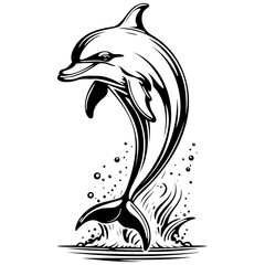 dolphin engrave hand drawn line illustration, transparent background