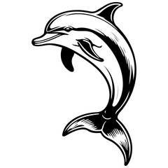 dolphin monochrome hand drawn line illustration, transparent background © Сергей Тарасюк