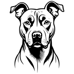 pitbull sketch, realistic line monochrome drawing, vintage engraving line art