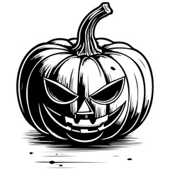 Realistic pumpkin ink hand drawn line illustration, transparent background