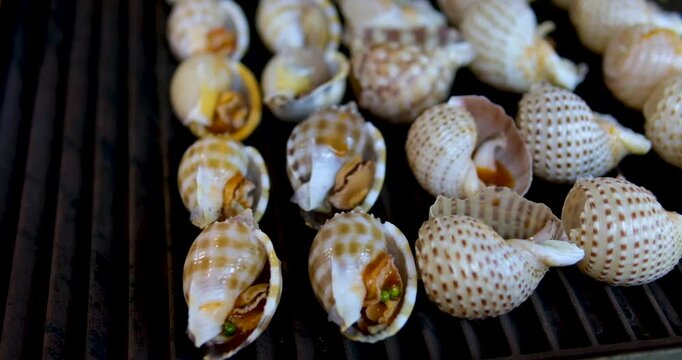 fresh raw Rapana bezoar Linnaeus. Sea Snail seafood gastropods and snails