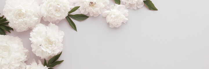 Fresh soft white peony flowers with leaves on gray table background. Empty place for emotional,...