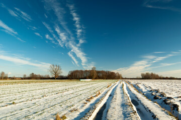 Obraz premium Rural field and road with snow on a winter sunny day
