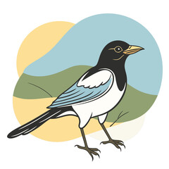 Magpie Bird Color Vector for various uses